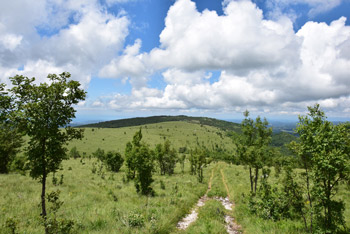 Golič je kopast in lepo zaobljen vrh na planoti Podgorskega Krasa.