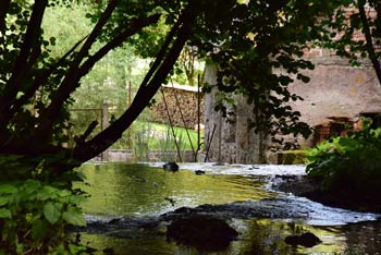 Izvir Frančiška teče Stiški potok, ki se nižje pri mlinu zliva preko manjšega slapišča.
