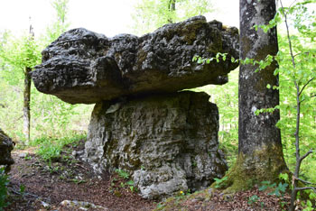 Kamnita miza se nahaja sredi gozda v kraški udorni kotanji, reče pa se ji tudi Tomaževa miza.
