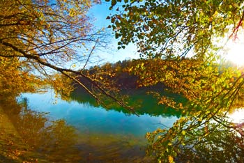 Mariborski otok na bregu reke Drave, kjer se v njeni gladini odseva jesensko listje.