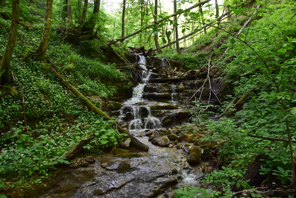 Eden izmed manjših slapov potoka v soteski pod Osolnikom, ki se izliva v Ločnico.