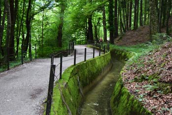Pot ob Rakah, kot so nekoč rekli vodnemu kanalu, je zelena zaradi gozda in mahu, ki raste ob njej.