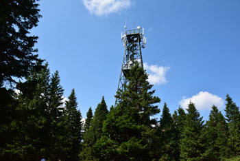 Razgledni stolp na Rogli se dviga visoko nad pohorskimi gozdovi, ki se širijo povsod okoli nas.