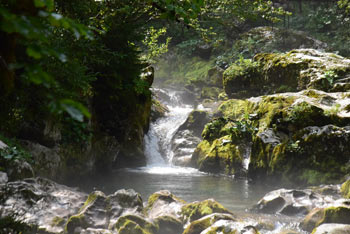 Šunikov vodni gaj je izdolbel gorski potok, ki se peni preko številnih slapišč.
