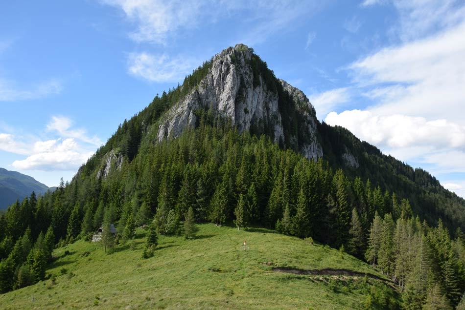 Veliki Rogatec je razglednik s pogledom na številne sosednje planine.