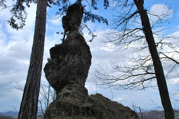 Žličar je skalni osamelec, ki se dviga visoko nad Dolino Bistrice.