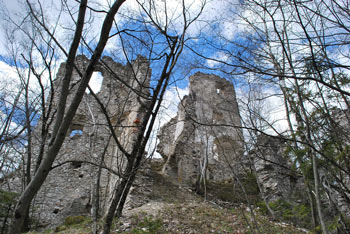 Razvaline gradu Žusem se nahajajo na pobočjih istoimenskega hriba na katerem se nahaja razgledni Stolp ljubezni.