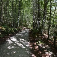 dolina-voje-04