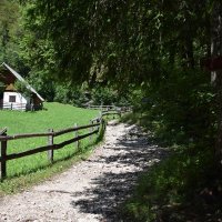 dolina-voje-26