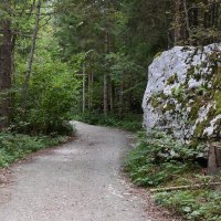 dolina-voje-42