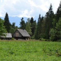 dolina-voje-43