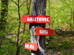 galetovec-08