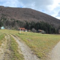 gora-oljka-03