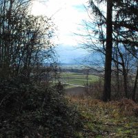 gora-oljka-06