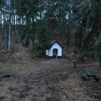 gora-oljka-20