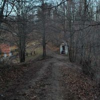 gora-oljka-21
