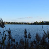 admin7 » Kočevsko jezero