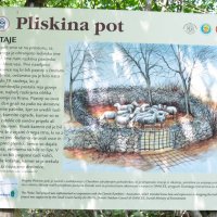pliskovica-18