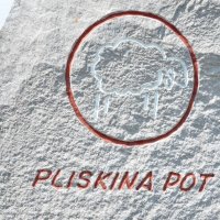 pliskovica-33