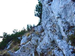 sija-64